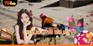 Xem Gà Mỹ Đá Tiền Lớn - Sàn Đấu Uy Tín No.1